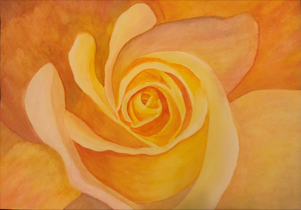 Yellow Rose Close-Up by Donna Cariker