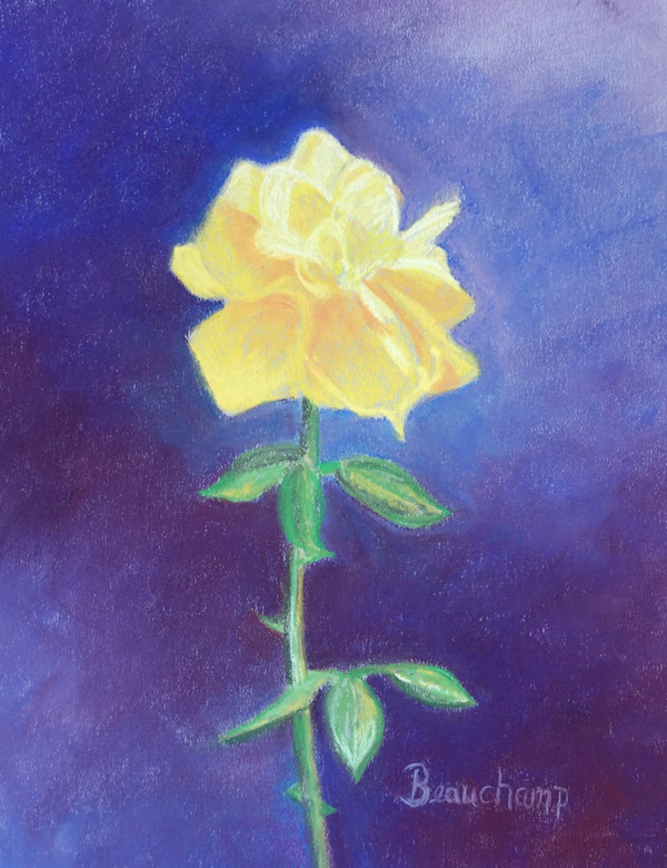 Yellow Rose of Texas by Nancy Beauchamp