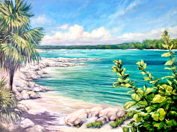 Akumal Bay, MX by Vickie Fears