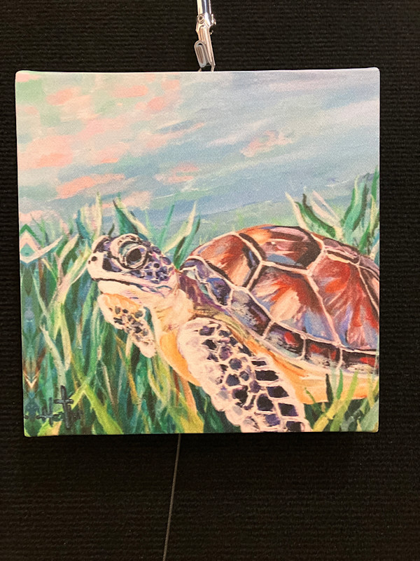 Mrs Sea Turle by Heather Burris