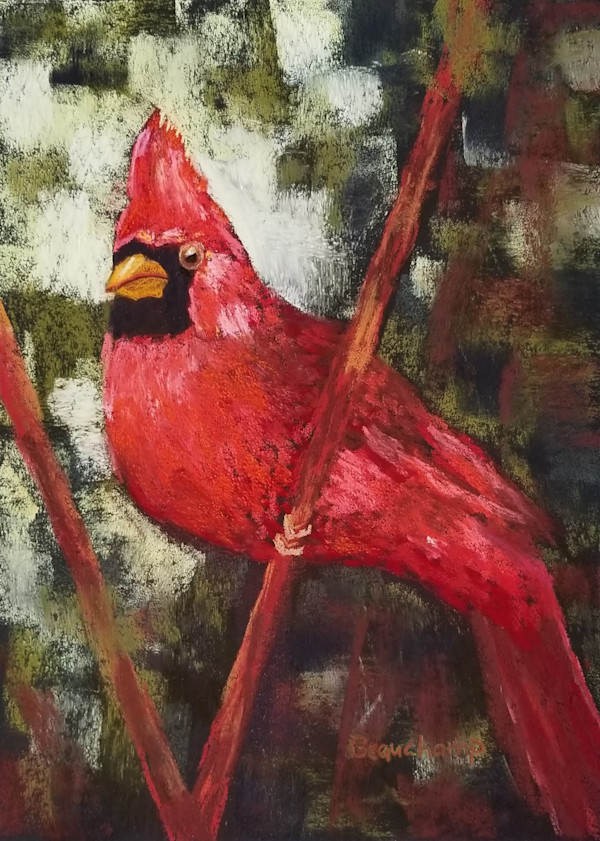 Mr. Cardinal by Nancy Beauchamp, Image 1.