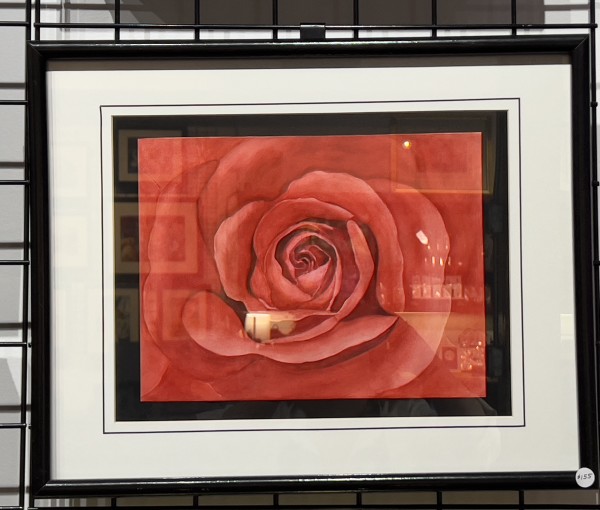 Red Rose - Close up by Donna Cariker