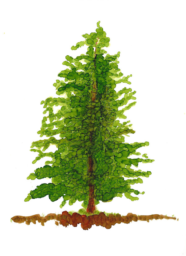 Douglas by Charrise Mccrorey