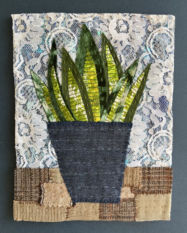 Replanted - Snake Plant by Jane Koopman