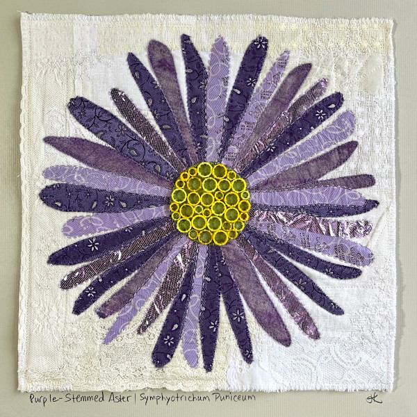 Purple-Stemmed Aster - Symphyotrichum Puniceum by Jane Koopman
