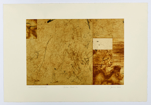 Yellow Print 2 by Catherine Farish