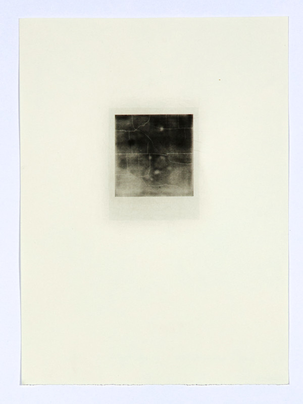 Polaroid (variation 2) by Céline Huyghebaert