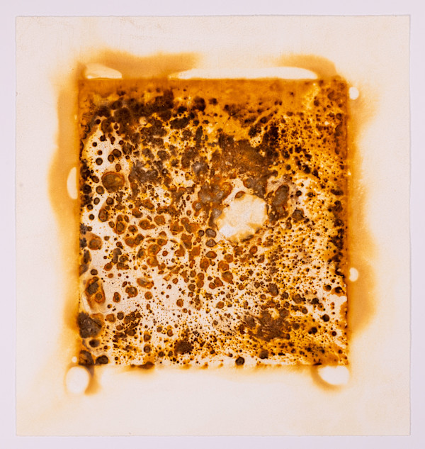 "Dust" by Ed Pien