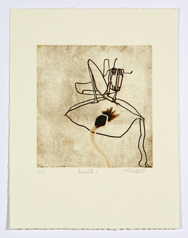 Insects by François Vincent