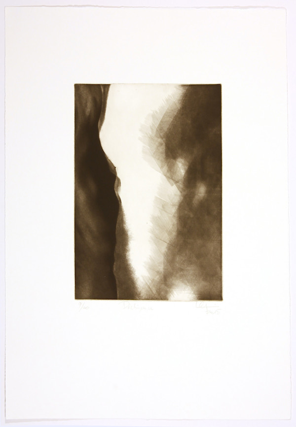 Déchirure by Guy Langevin