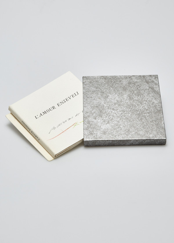 L'amour enselevi by Fernando Arrabal-A, julius Baltazar-L