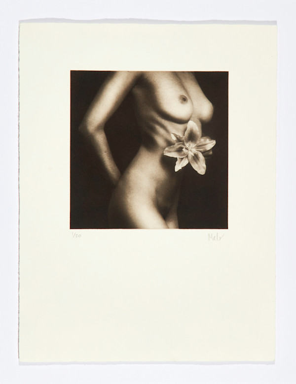 Flor de Piel I by Marcelo Troche