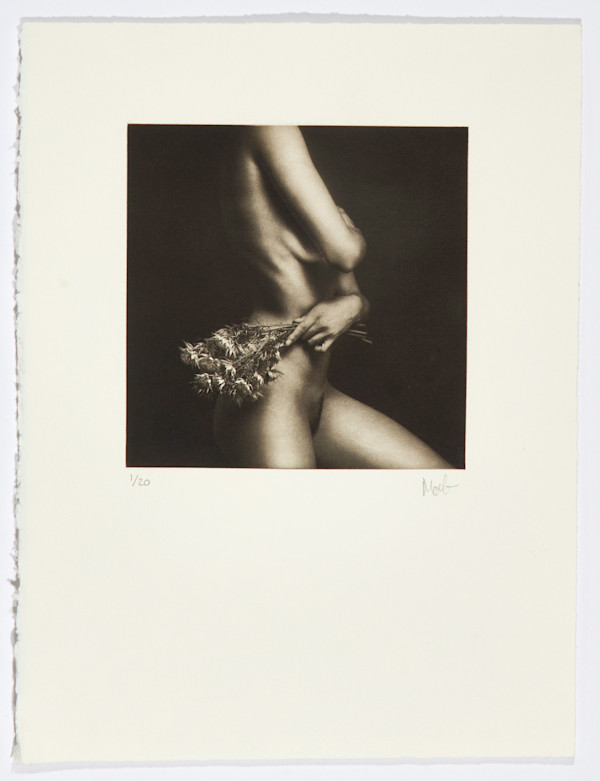 Flor de Piel II by Marcelo Troche