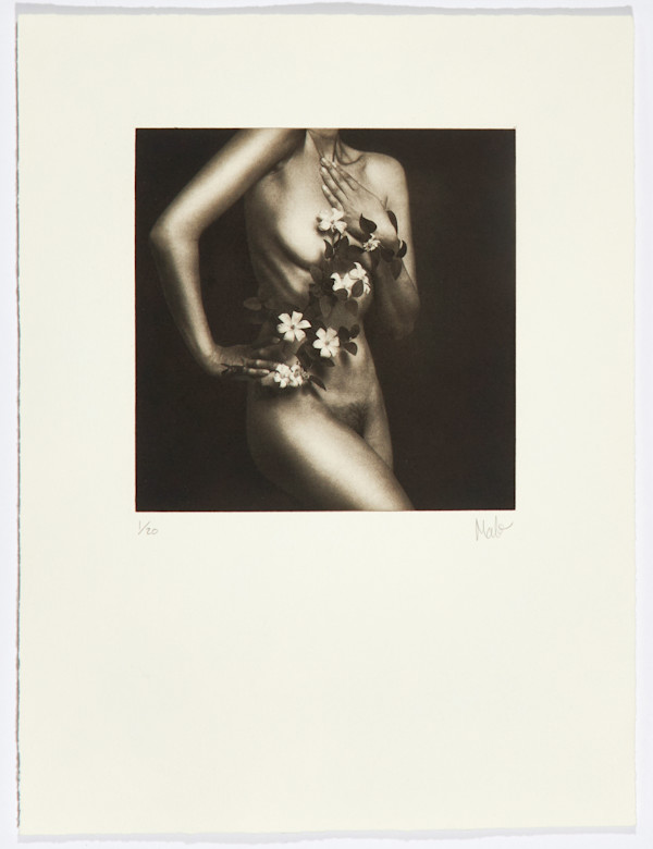Flor de Piel V by Marcelo Troche