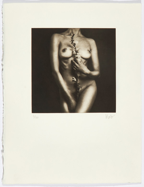 Flor de Piel III by Marcelo Troche