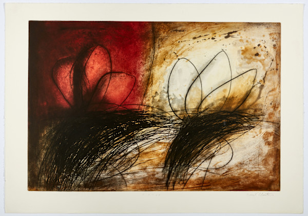 Lotus by Paul Cloutier