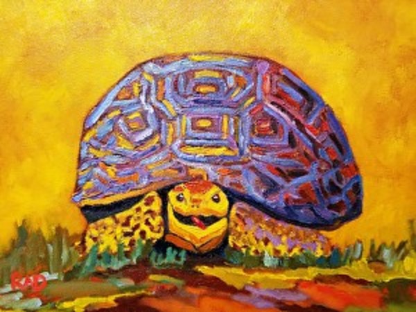 Mo the Tortoise by Randine Westlund