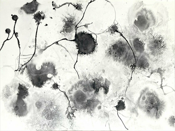 In vitro 002 by Carlo Brunelli