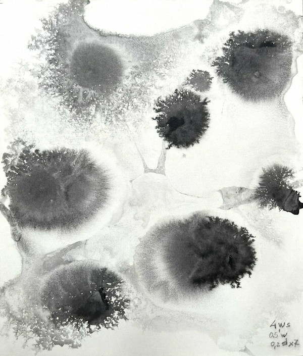 In vitro 001 by Carlo Brunelli