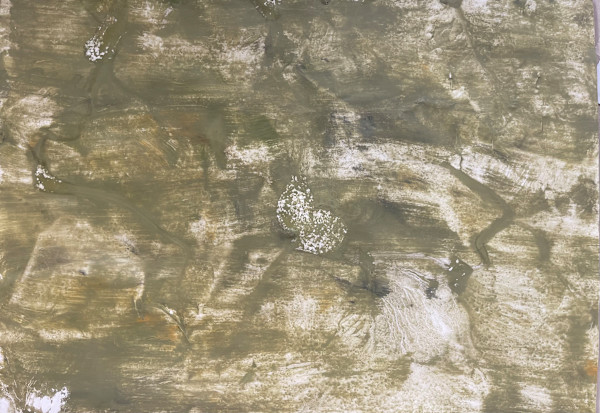 Tafoni Cartacei_1 by Carlo Brunelli