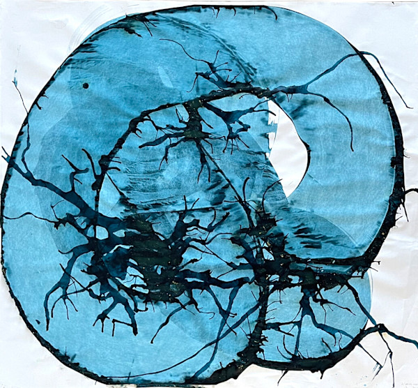 Flow 012 by Carlo Brunelli