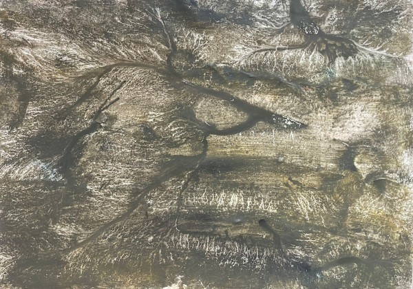 Tafoni Cartacei_3 by Carlo Brunelli