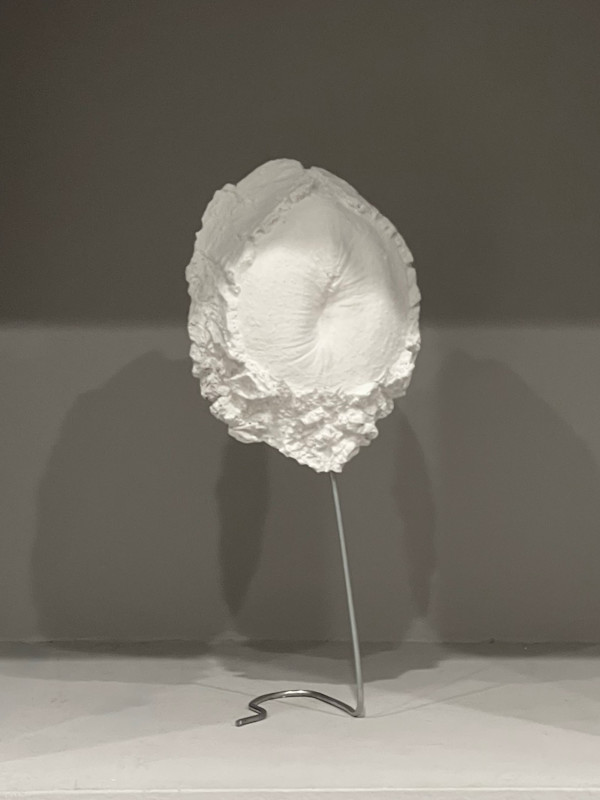Generazioni 001 by Carlo Brunelli