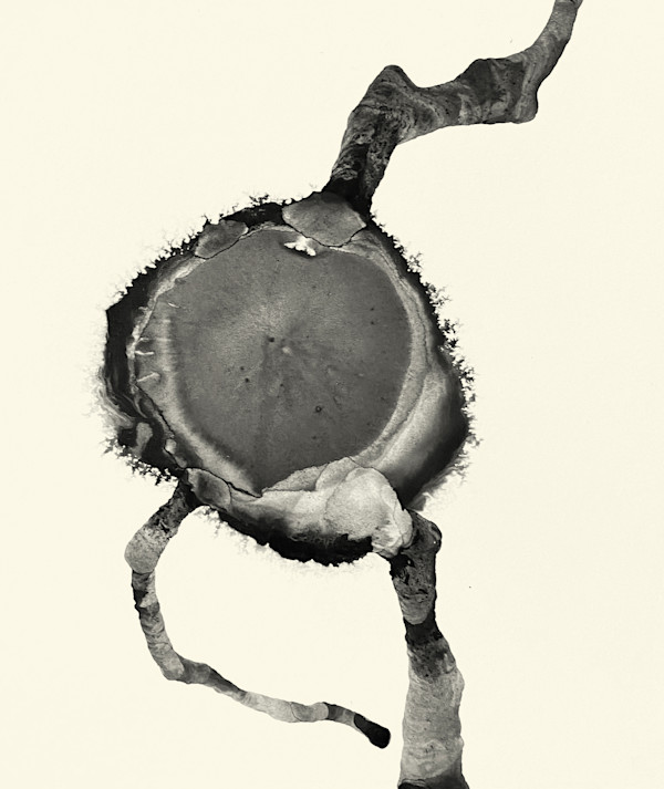 Blow 020 by Carlo Brunelli, Image 1.
