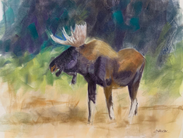Brown Moose by Susan L Mueller