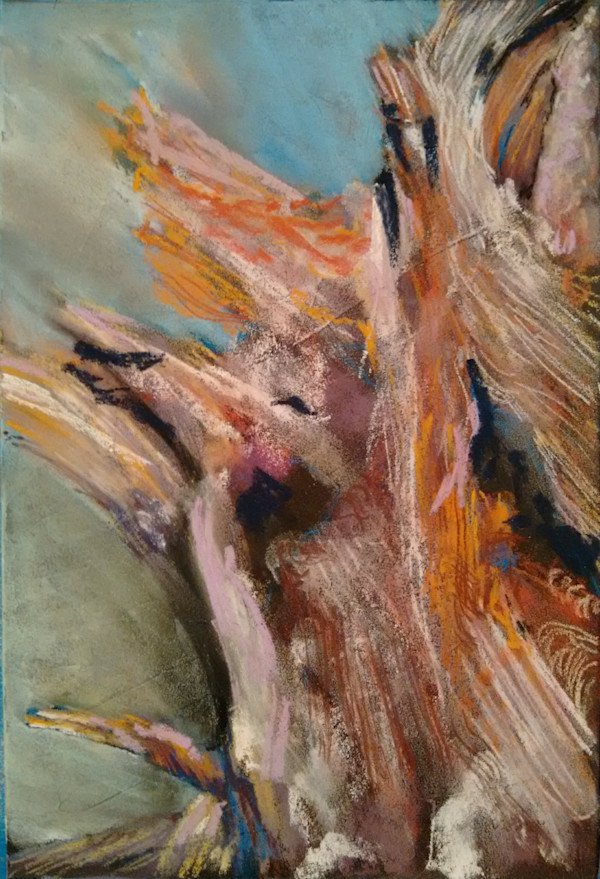 A Magic Wood by Susan L Mueller
