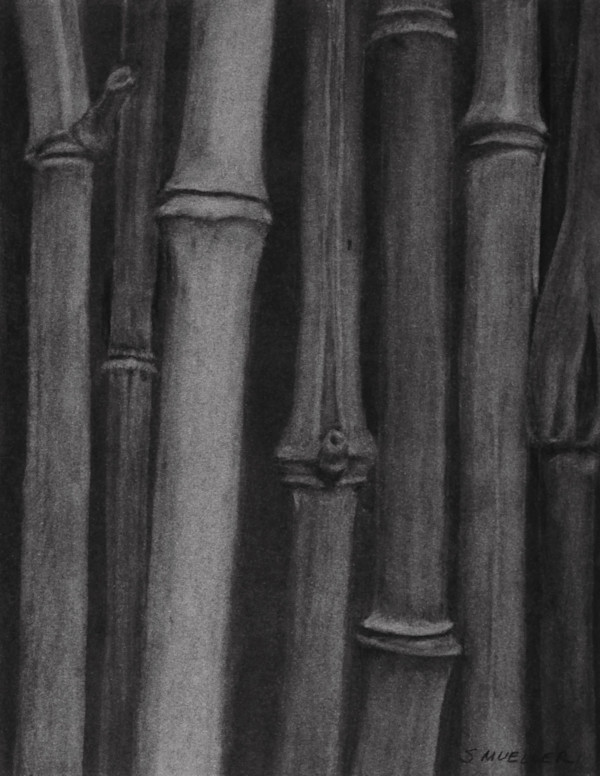 Bamboo by Susan L Mueller