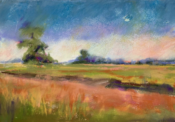 Soft Gazing by Susan L Mueller