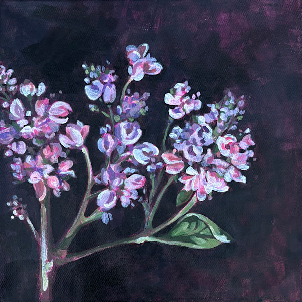 lilacs by Erica Lambrecht, Image 1.