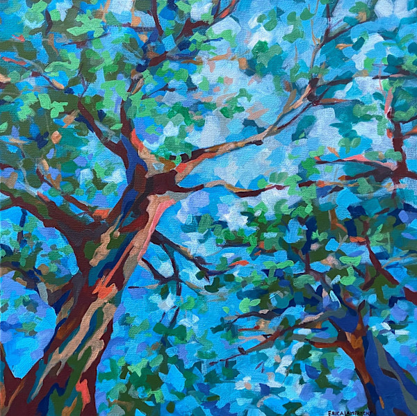 looking up by Erica Lambrecht