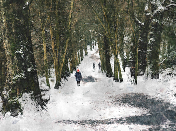 In the Woods by Joseph Perryman