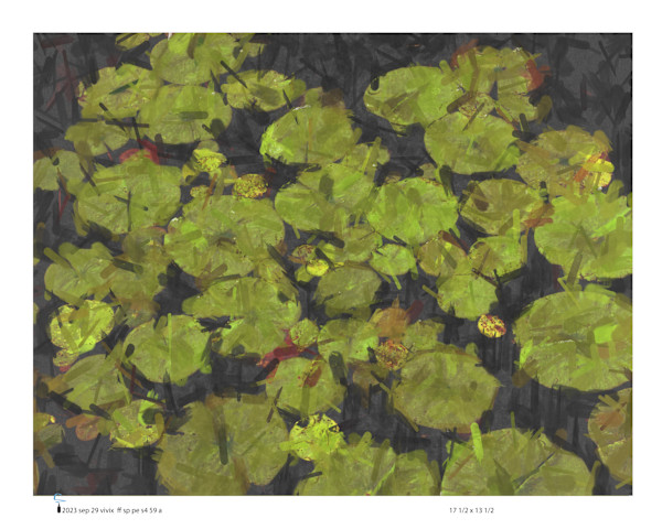 Water Lillies by Joseph Perryman, Image 1.