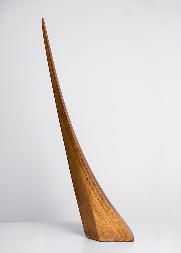 Palsternakka by Harry Matti Hukkinen, Image 1.