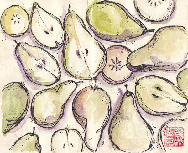 Asian Pears Print – Travel Sketch by Terri Goodness, Image 1.