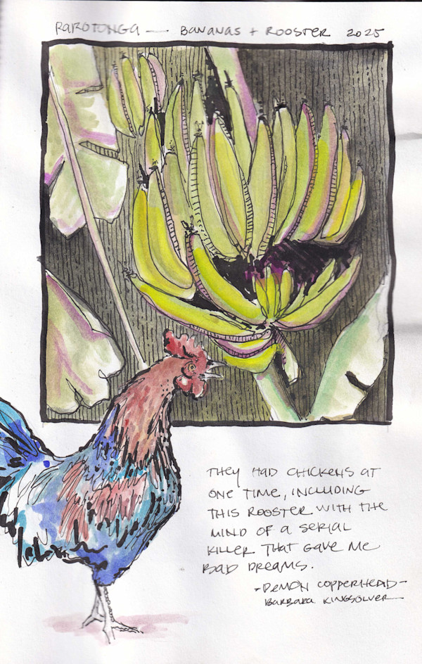 Travel Sketches - Rarotonga - Bananas and a Rooster by Terri Goodness, Image 1.