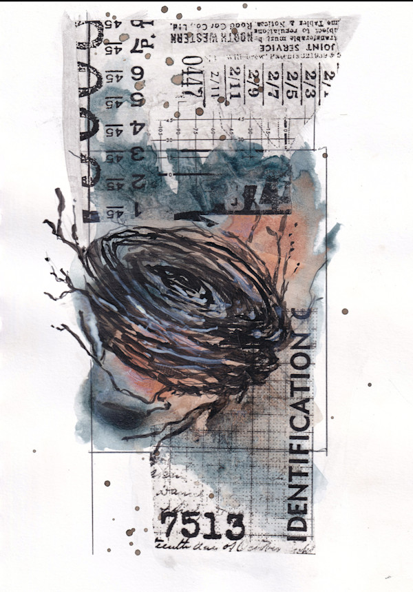 Framed Original Sketch - Nesting by Terri Goodness, Image 1.