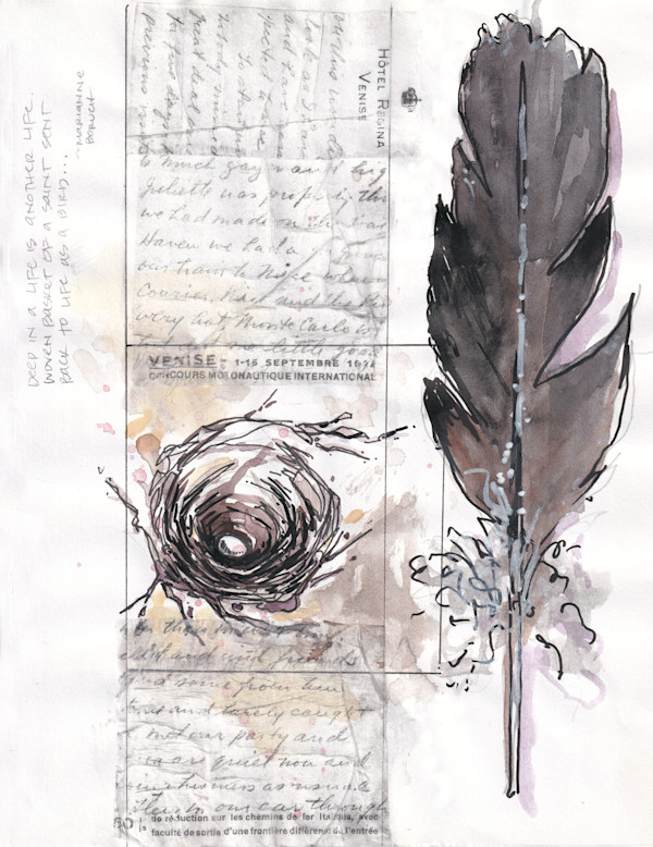 Framed Original Sketch - Nest and Feather by Terri Goodness, Image 1.