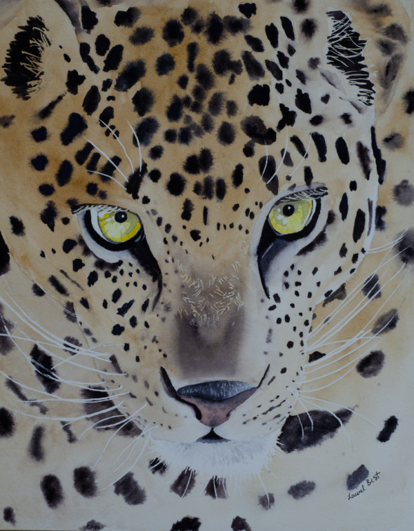 Spotted at the Zanzibar by Laurel Best