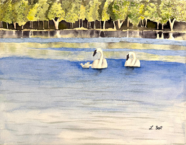 Swan Lake by Laurel Best