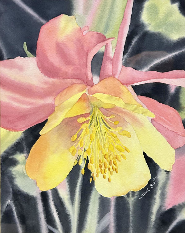 Columbine by Laurel Best