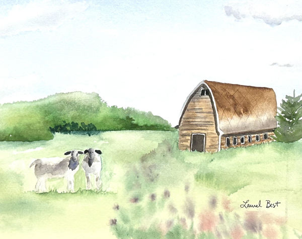 Feeling Rather Sheepish by Laurel Best