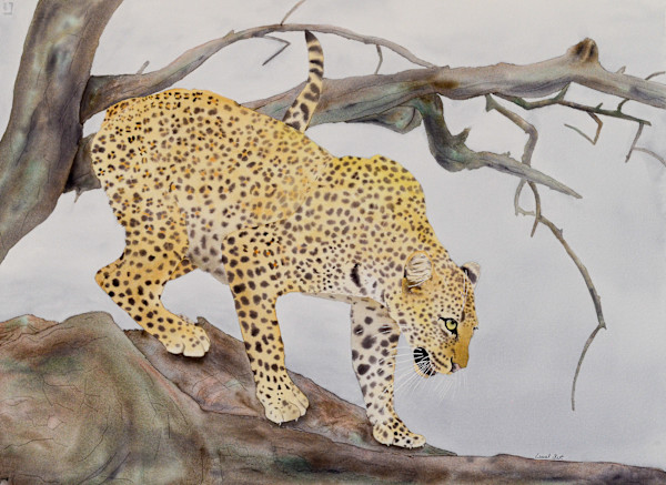 Star of the Serengeti by Laurel Best