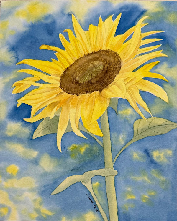 Petals of Light by Laurel Best