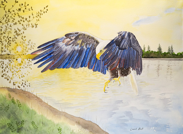 The Eagle Is Landing by Laurel Best