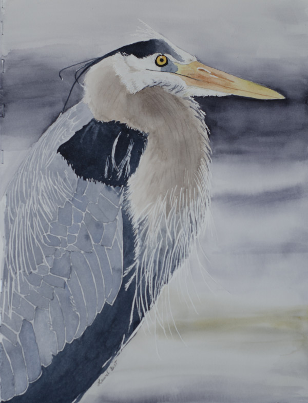 Great Blue Heron by Laurel Best