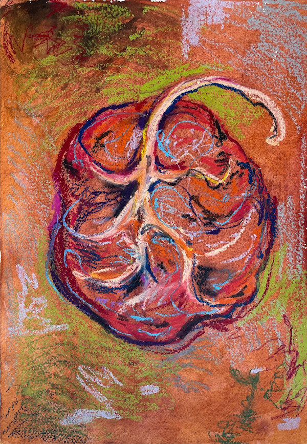 Cotyledon Placenta by Hema A. Bharadwaj, Image 1.